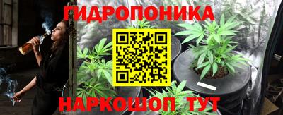 прущая мука Кингисепп