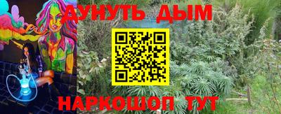 прущая мука Кингисепп