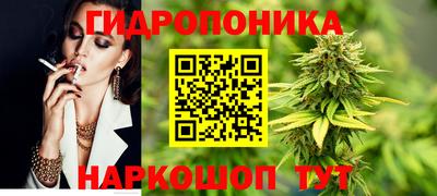 гидра Кимры