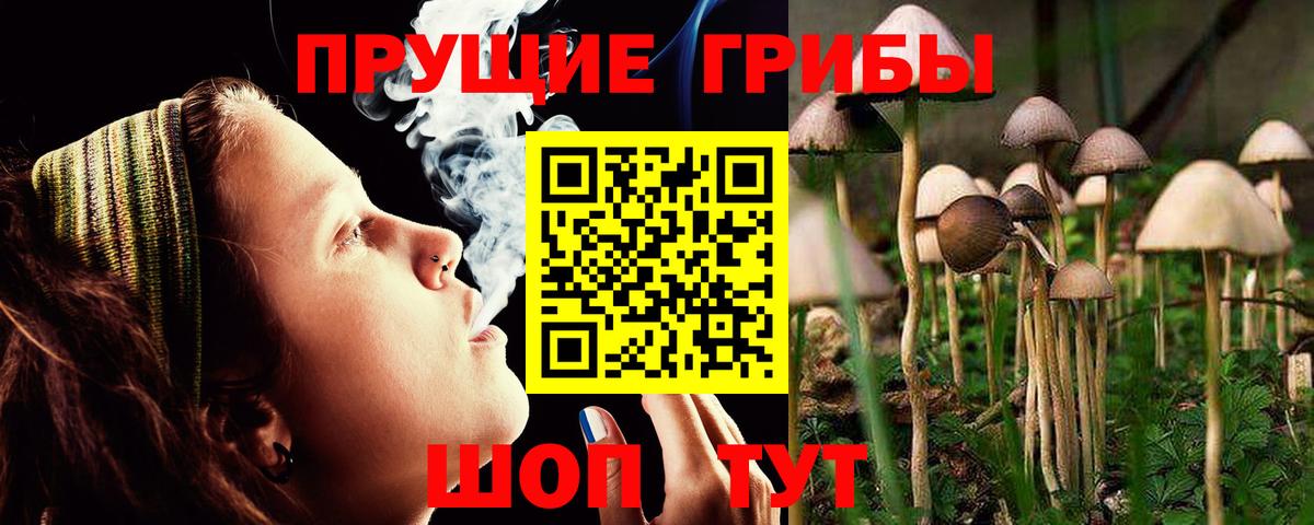 Псилоцибиновые грибы мицелий Усолье-Сибирское